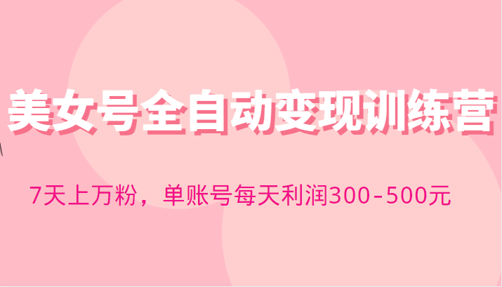 快手美女号全自动变现训练营，7天上万粉，单账号每天利润300-500元-有术宝库