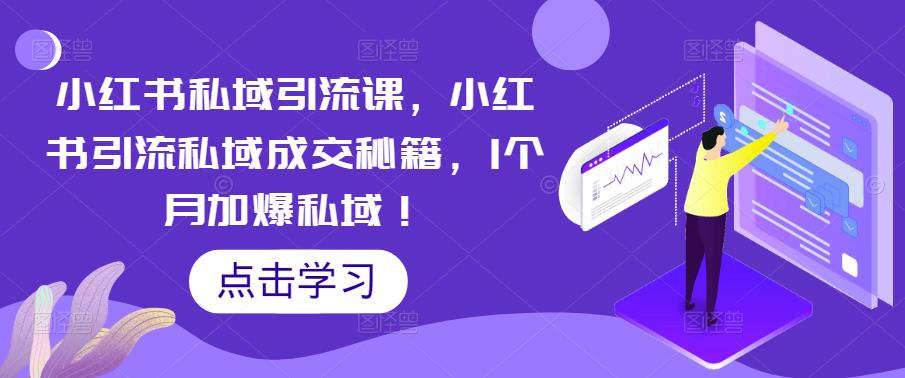 小红书私域引流课，小红书引流私域成交秘籍，1个月加爆私域 -有术宝库
