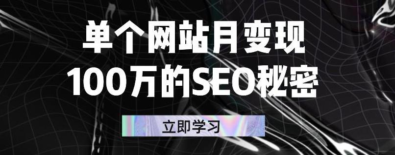单个网站月变现100万的SEO秘密，百分百做出赚钱站点-有术宝库