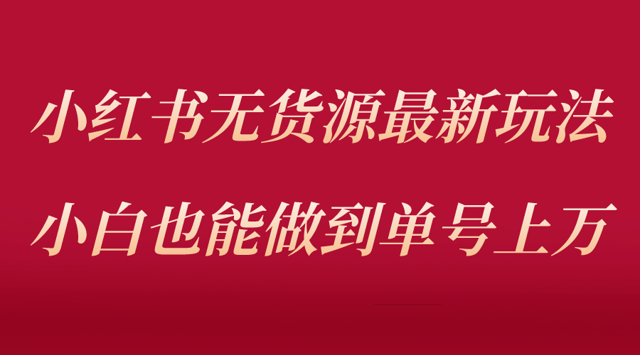 小红书无货源最新螺旋起号玩法，电商小白也能做到单号上万（价值3980元）-有术宝库