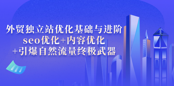 外贸独立站优化基础与进阶，seo优化+内容优化+引爆自然流量终极武器-有术宝库
