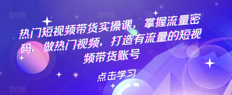 热门短视频带货实战 掌握流量密码 做热门视频 打造有流量的短视频带货账号-有术宝库